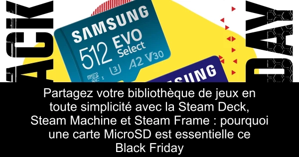 Partagez votre bibliothèque de jeux en toute simplicité avec la Steam Deck, Steam Machine et Steam Frame : pourquoi une carte MicroSD est essentielle ce Black Friday
