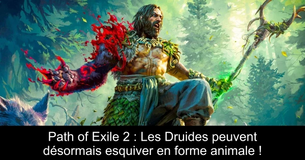 Path of Exile 2 : Les Druides peuvent désormais esquiver en forme animale !
