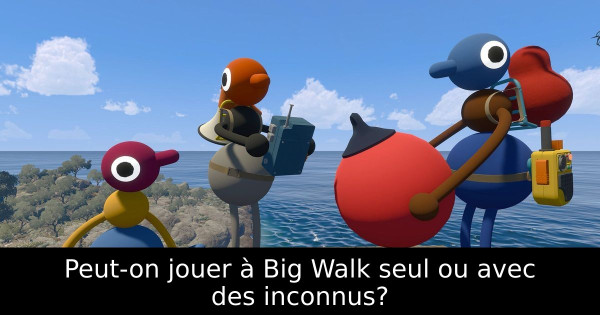 Peut-on jouer à Big Walk seul ou avec des inconnus?