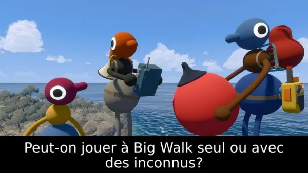 Peut-on jouer à Big Walk seul ou avec des inconnus?