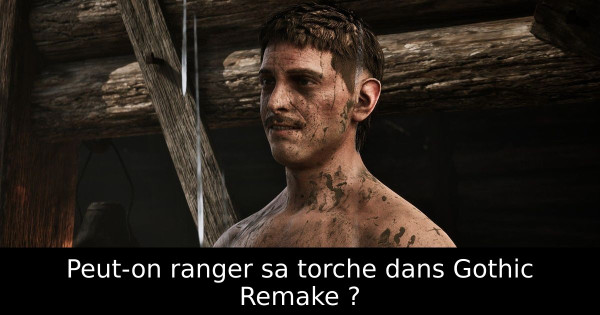 Peut-on ranger sa torche dans Gothic Remake ?