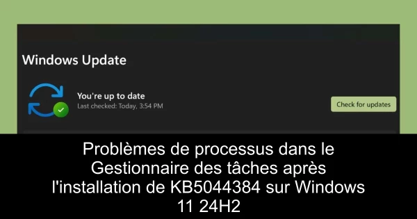 Problèmes de processus dans le Gestionnaire des tâches après l'installation de KB5044384 sur Windows 11 24H2
