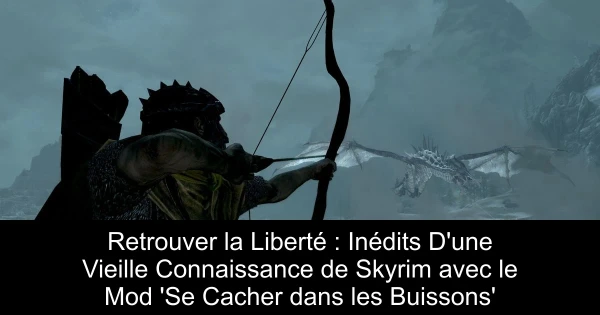 Retrouver la Liberté : Inédits D'une Vieille Connaissance de Skyrim avec le Mod 'Se Cacher dans les Buissons'