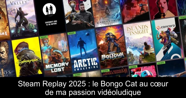 Steam Replay 2025 : le Bongo Cat au cœur de ma passion vidéoludique