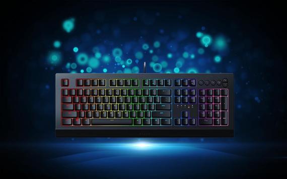 Test du Clavier Razer Cynosa V2