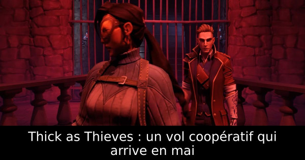 Thick as Thieves : un vol coopératif qui arrive en mai