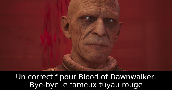 Un correctif pour Blood of Dawnwalker: Bye-bye le fameux tuyau rouge