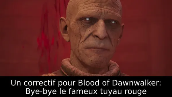The Blood of Dawnwalker : le patch 1.0.4 corrige le fameux « tuyau rouge »
