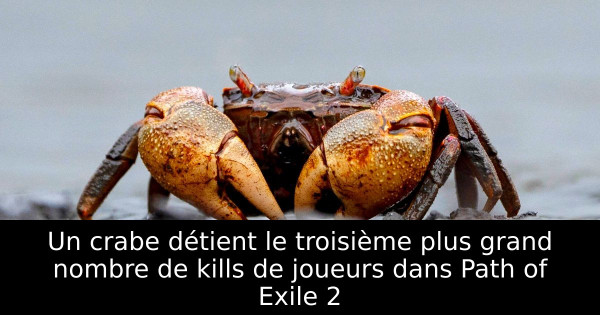 Un crabe détient le troisième plus grand nombre de kills de joueurs dans Path of Exile 2