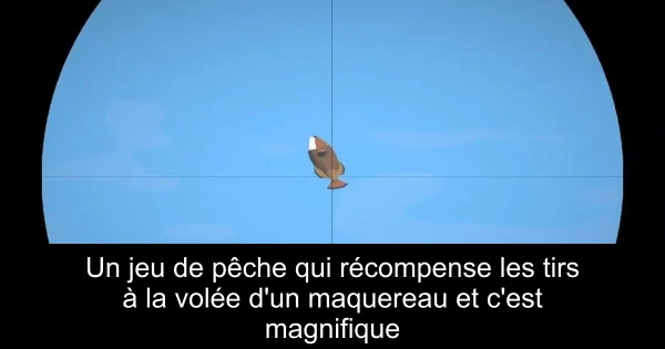 Un jeu de pêche qui récompense les tirs à la volée d'un maquereau et c'est magnifique