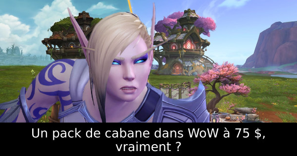 Un pack de cabane dans WoW à 75 $, vraiment ?
