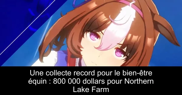 Une collecte record pour le bien-être équin : 800 000 dollars pour Northern Lake Farm