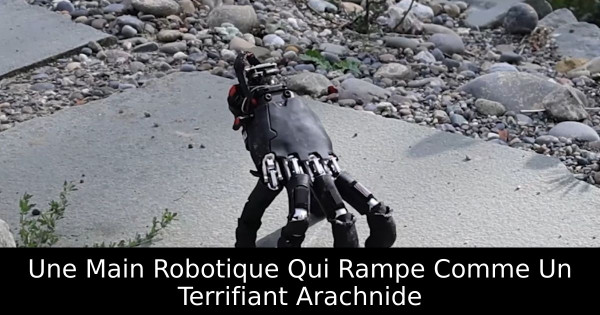 Une Main Robotique Qui Rampe Comme Un Terrifiant Arachnide