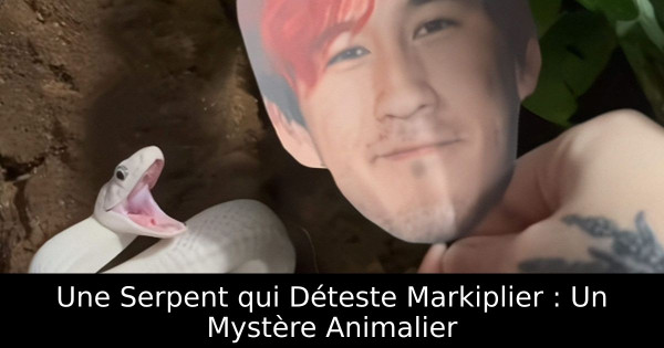 Une Serpent qui Déteste Markiplier : Un Mystère Animalier