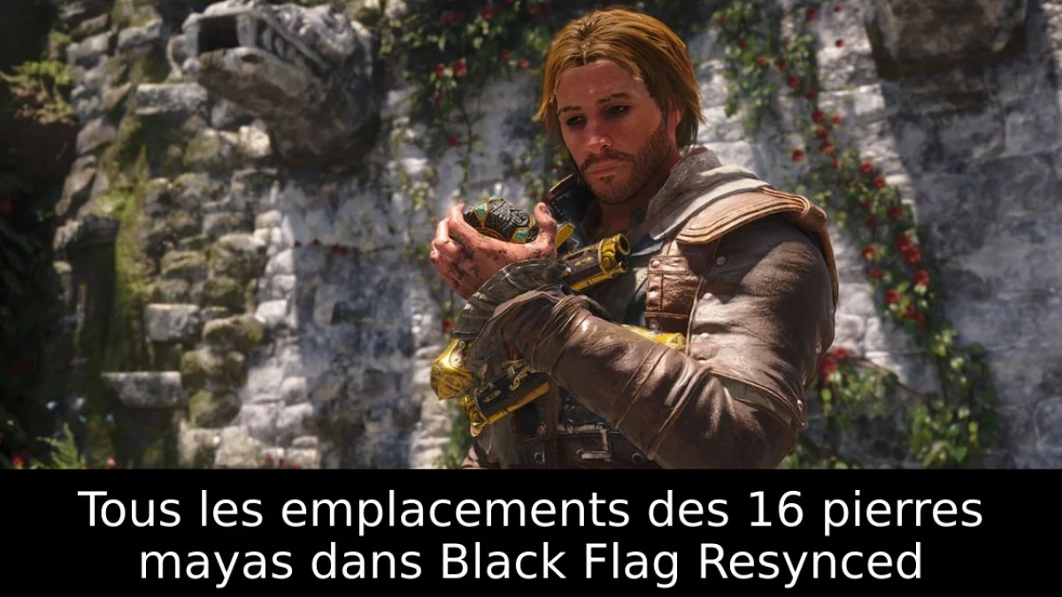 Tous les emplacements des 16 pierres mayas dans Black Flag Resynced