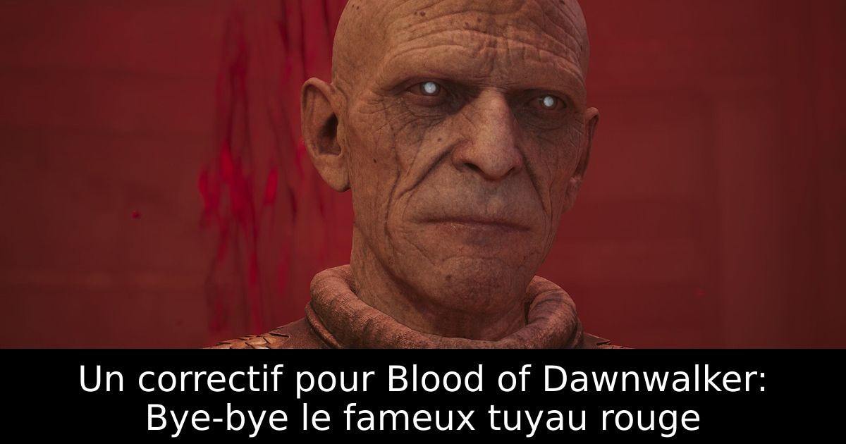 Un correctif pour Blood of Dawnwalker: Bye-bye le fameux tuyau rouge