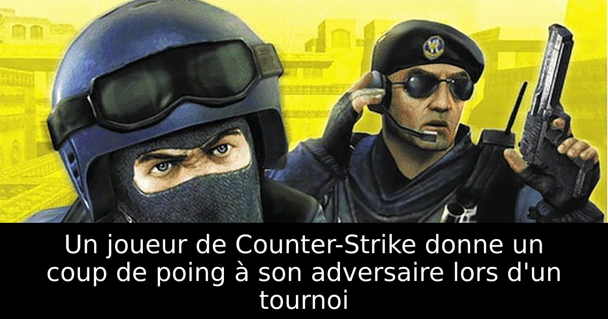 Un joueur de Counter-Strike donne un coup de poing à son adversaire lors d'un tournoi