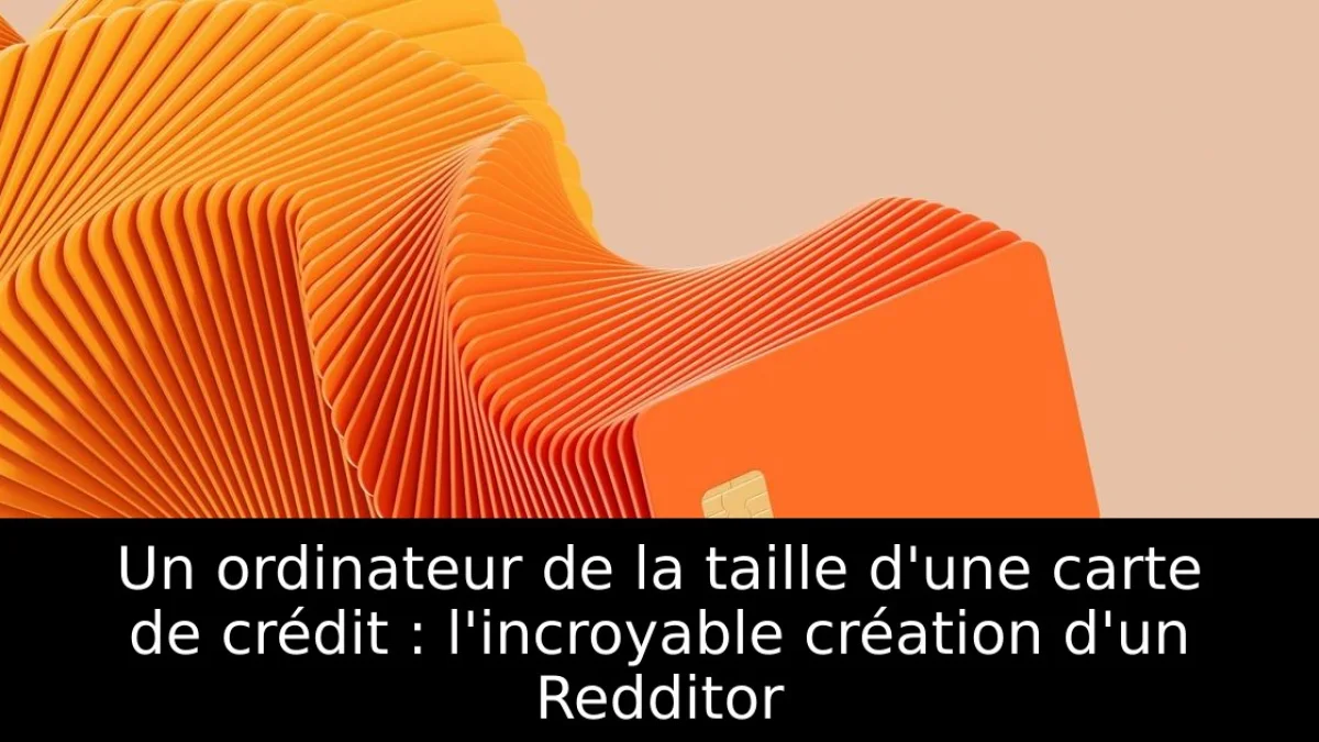 Un ordinateur de la taille d'une carte de crédit : l'incroyable création d'un Redditor