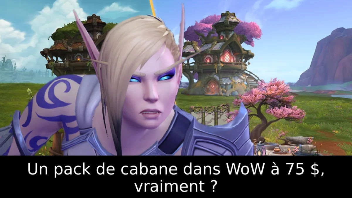 Un pack de cabane dans WoW à 75 $, vraiment ?