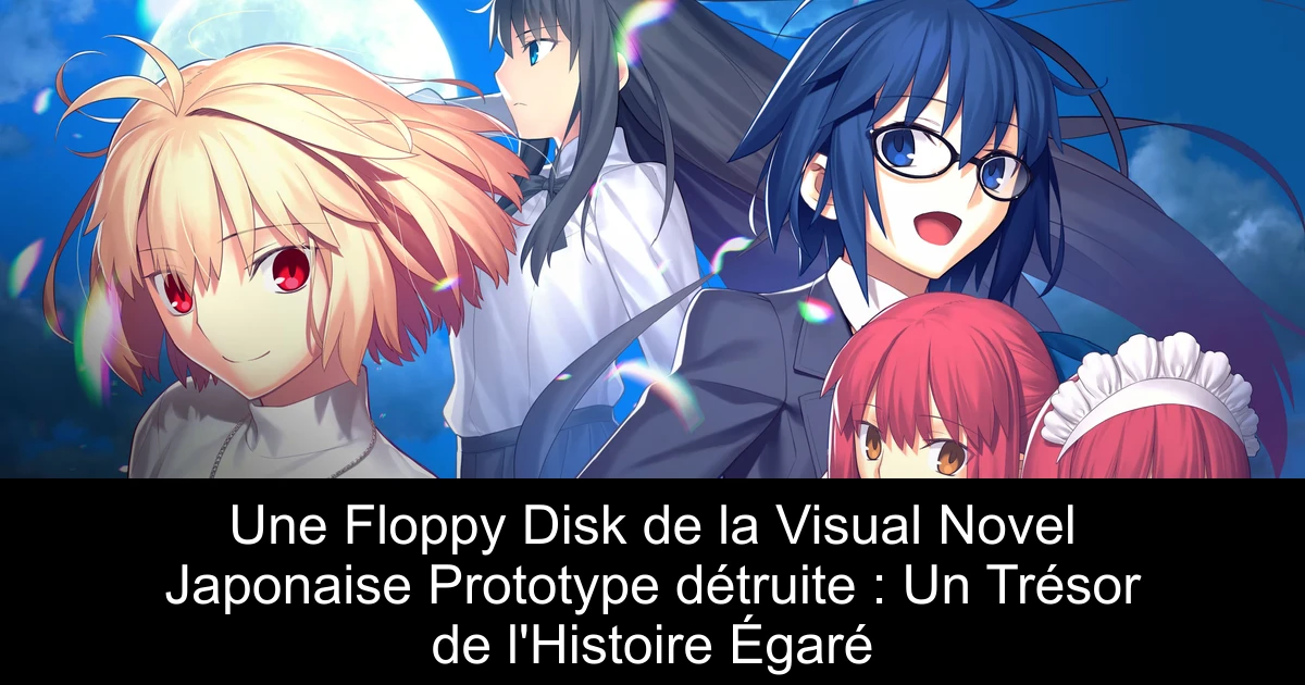 Une Floppy Disk de la Visual Novel Japonaise Prototype détruite : Un Trésor de l'Histoire Égaré
