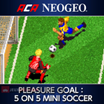 ACA NeoGeo - Pleasure Goal: 5 on 5 Mini Soccer