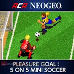 ACA NeoGeo - Pleasure Goal: 5 on 5 Mini Soccer