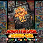 Double Dragon III: The Sacred Stones