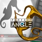 Perfect Angle