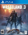 Wasteland 3